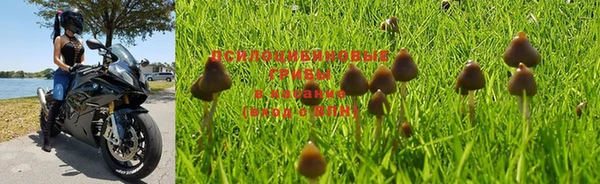 твердый Кулебаки