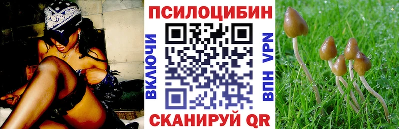 Купить закладки  Боровск  Галлюциногенные грибы Psilocybine cubensis 